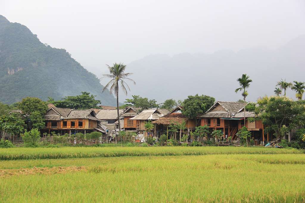 Mai Chau