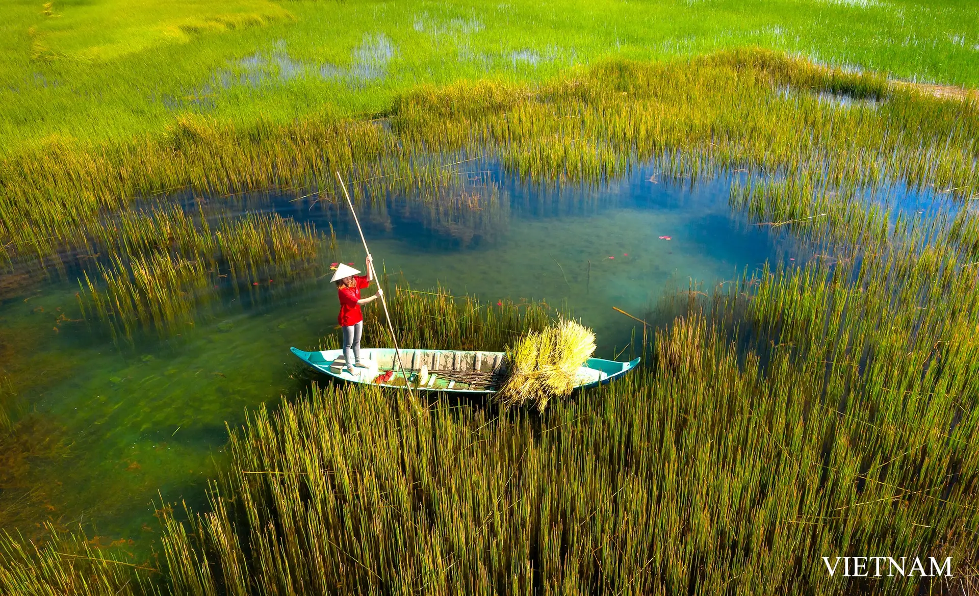 Read more about the article Top 10 Best Places to Visit in Vietnam